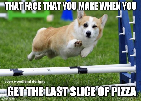 last slice |  THAT FACE THAT YOU MAKE WHEN YOU; GET THE LAST SLICE OF PIZZA | image tagged in awesome corgi andshit | made w/ Imgflip meme maker