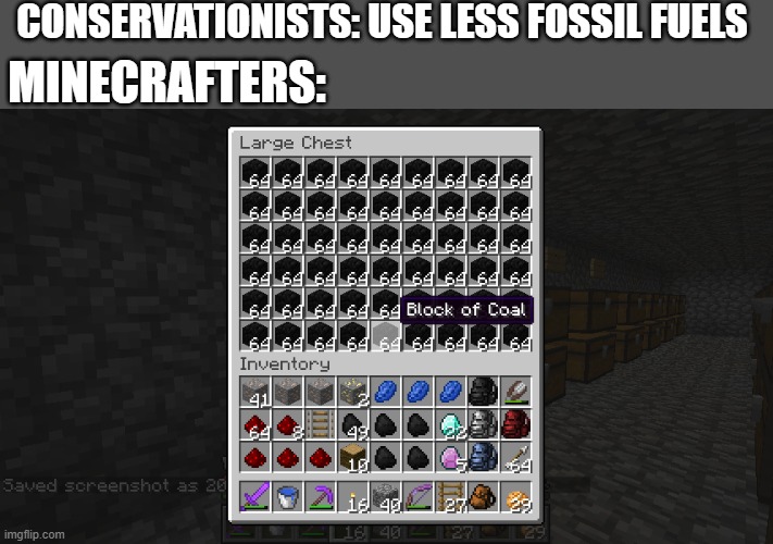 In reality, people need to use less fossil fuels. In Minecraft, such rules are nonsense. | CONSERVATIONISTS: USE LESS FOSSIL FUELS; MINECRAFTERS: | image tagged in minecraft,coal,earth | made w/ Imgflip meme maker