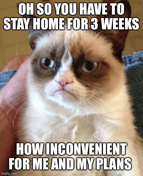Grumpy Cat Meme | OH SO YOU HAVE TO STAY HOME FOR 3 WEEKS; HOW INCONVENIENT FOR ME AND MY PLANS | image tagged in memes,grumpy cat | made w/ Imgflip meme maker