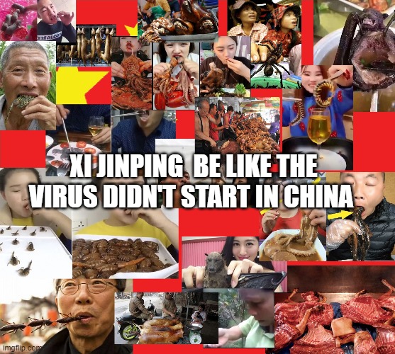Chinese Virus | XI JINPING  BE LIKE THE VIRUS DIDN'T START IN CHINA | image tagged in chinese virus | made w/ Imgflip meme maker