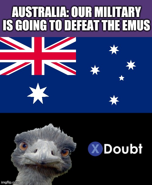 AUSTRALIA: OUR MILITARY IS GOING TO DEFEAT THE EMUS | image tagged in australian flag,emu doubt,australia,emu,memes,history | made w/ Imgflip meme maker