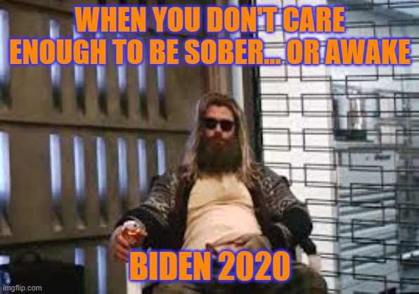 Fat Thor | WHEN YOU DON'T CARE ENOUGH TO BE SOBER... OR AWAKE; BIDEN 2020 | image tagged in fat thor | made w/ Imgflip meme maker