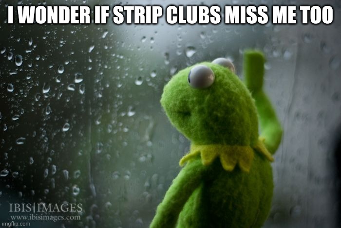 kermit window | I WONDER IF STRIP CLUBS MISS ME TOO | image tagged in kermit window | made w/ Imgflip meme maker