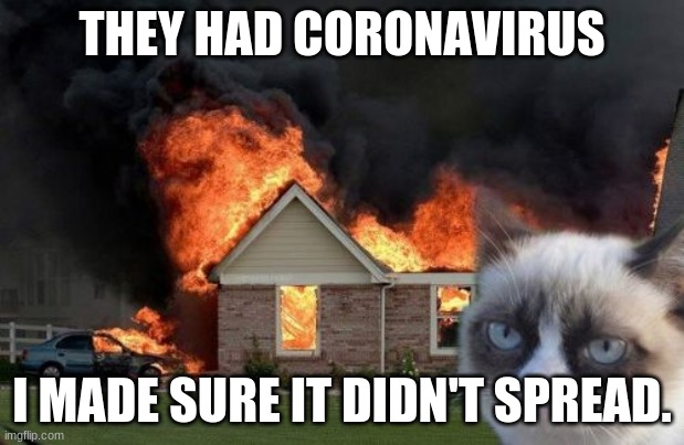 Burn Kitty | THEY HAD CORONAVIRUS; I MADE SURE IT DIDN'T SPREAD. | image tagged in memes,burn kitty,grumpy cat | made w/ Imgflip meme maker