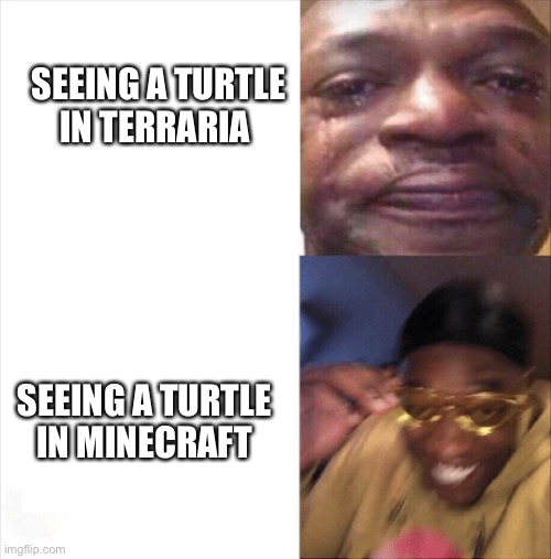 Sad Happy | SEEING A TURTLE IN TERRARIA; SEEING A TURTLE IN MINECRAFT | image tagged in sad happy | made w/ Imgflip meme maker