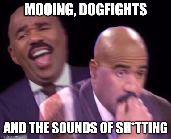 Steve Harvey Laughing Serious | MOOING, DOGFIGHTS AND THE SOUNDS OF SH*TTING | image tagged in steve harvey laughing serious | made w/ Imgflip meme maker