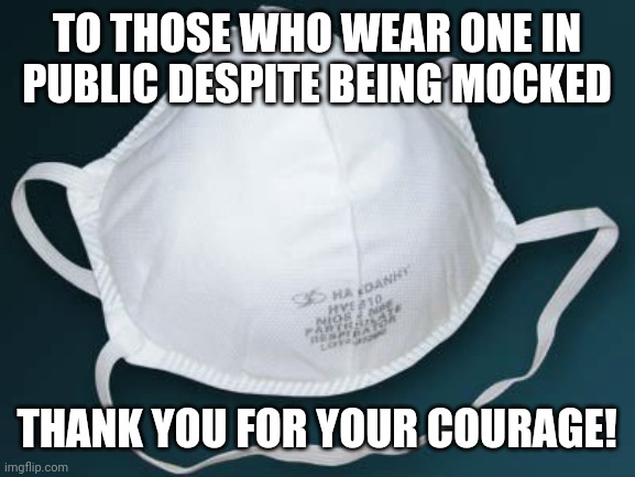 TO THOSE WHO WEAR ONE IN PUBLIC DESPITE BEING MOCKED; THANK YOU FOR YOUR COURAGE! | image tagged in mask,coronavirus | made w/ Imgflip meme maker