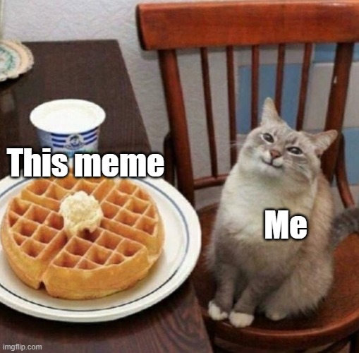 Cat likes their waffle | This meme Me | image tagged in cat likes their waffle | made w/ Imgflip meme maker