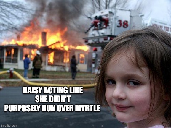 Disaster Girl | DAISY ACTING LIKE SHE DIDN'T PURPOSELY RUN OVER MYRTLE | image tagged in memes,disaster girl | made w/ Imgflip meme maker