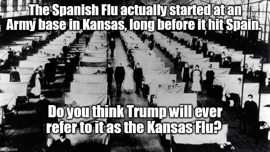Kansas/Spanish Flu | The Spanish Flu actually started at an Army base in Kansas, long before it hit Spain. Do you think Trump will ever refer to it as the Kansas Flu? | image tagged in spanish flu,trump meaness | made w/ Imgflip meme maker