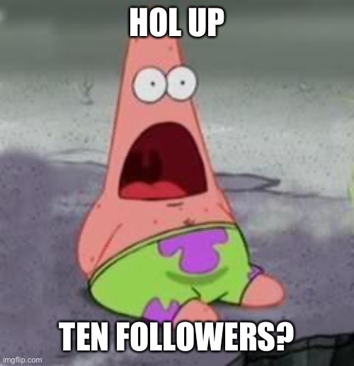 Suprised Patrick | HOL UP; TEN FOLLOWERS? | image tagged in suprised patrick | made w/ Imgflip meme maker