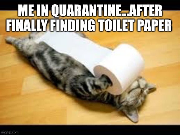 Funny animals | ME IN QUARANTINE...AFTER FINALLY FINDING TOILET PAPER | image tagged in funny animals | made w/ Imgflip meme maker