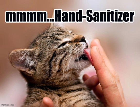 Put Some Alcohol On It... | image tagged in memes,cat memes,coronavirus,hand sanitizer | made w/ Imgflip meme maker