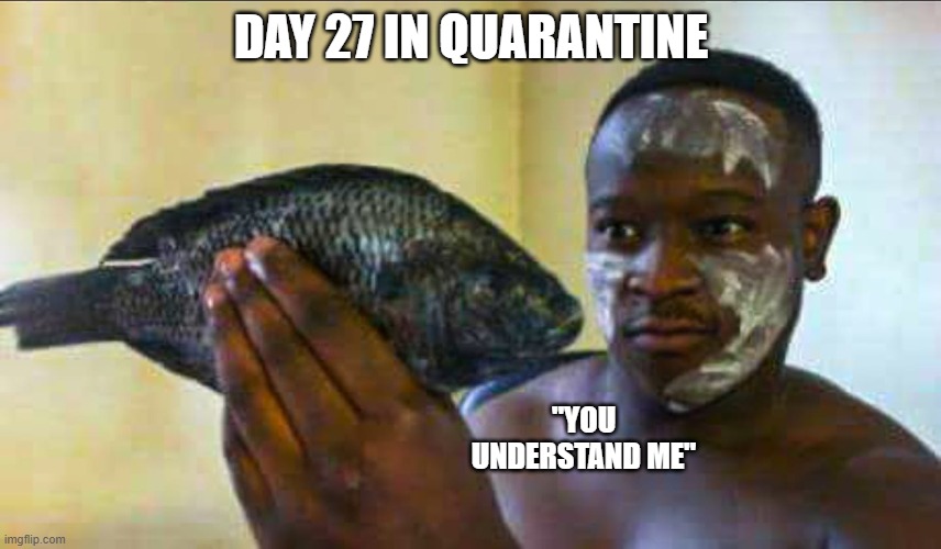  DAY 27 IN QUARANTINE; "YOU UNDERSTAND ME" | image tagged in quarantine,fish,trippy,trippin',home alone | made w/ Imgflip meme maker