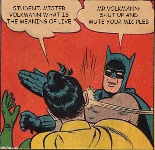 Batman Slapping Robin | STUDENT: MISTER VOLKMANN WHAT IS THE MEANING OF LIVE; MR.VOLKMANN: SHUT UP AND MUTE YOUR MIC PLEB | image tagged in memes,batman slapping robin | made w/ Imgflip meme maker