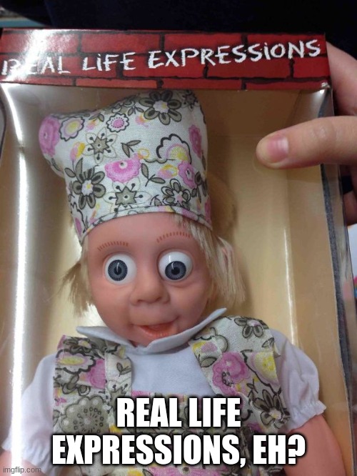 Really? | REAL LIFE EXPRESSIONS, EH? | image tagged in you had one job,creepy doll,doll,funny,facial expressions | made w/ Imgflip meme maker