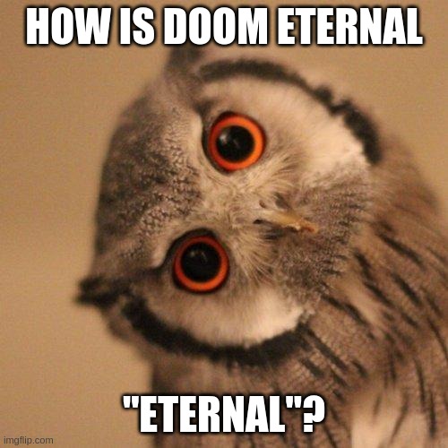 Doom eternal | HOW IS DOOM ETERNAL; "ETERNAL"? | image tagged in inquisitve owl,doom,doom eternal | made w/ Imgflip meme maker