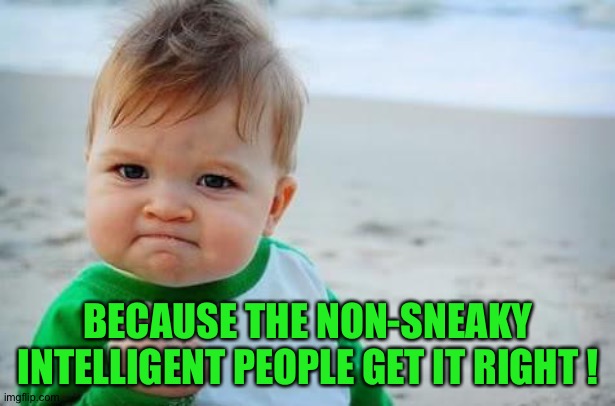 Fist pump baby | BECAUSE THE NON-SNEAKY INTELLIGENT PEOPLE GET IT RIGHT ! | image tagged in fist pump baby | made w/ Imgflip meme maker