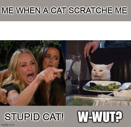 Woman Yelling At Cat | ME WHEN A CAT SCRATCHE ME; STUPID CAT! W-WUT? | image tagged in memes,woman yelling at cat | made w/ Imgflip meme maker