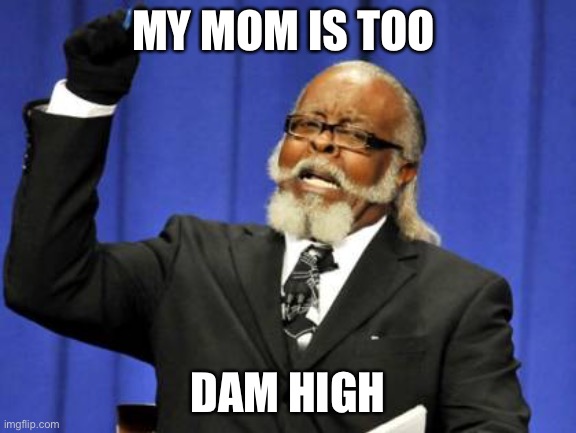 Too Damn High Meme | MY MOM IS TOO; DAM HIGH | image tagged in memes,too damn high | made w/ Imgflip meme maker
