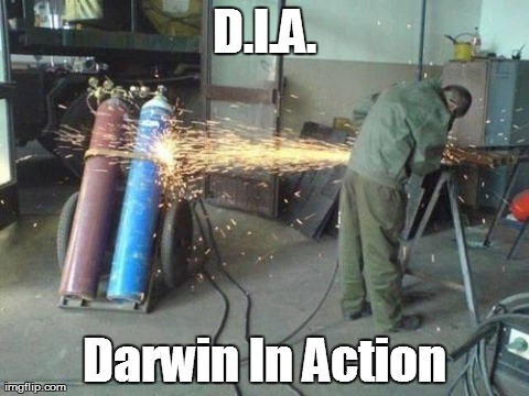 D.I.A. Darwin In Action | image tagged in darwin in action | made w/ Imgflip meme maker