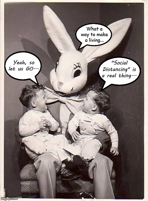 Too much time on my hands... | What a way to make a living... "Social Distancing" is a real thing... Yeah, so let us GO... | image tagged in bunny,social distancing,bored,easter | made w/ Imgflip meme maker