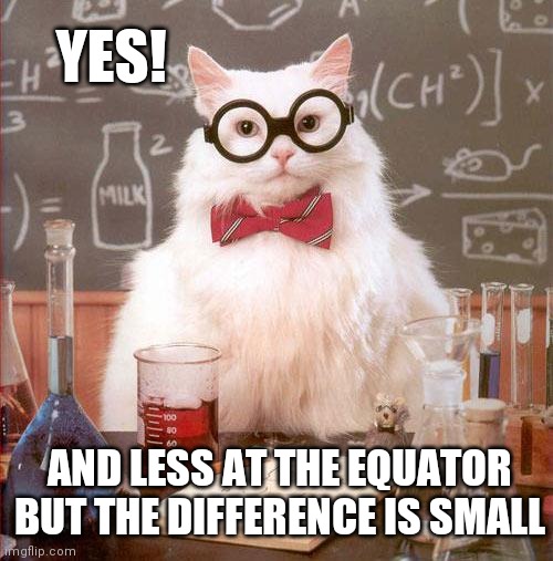 Science Cat | YES! AND LESS AT THE EQUATOR BUT THE DIFFERENCE IS SMALL | image tagged in science cat | made w/ Imgflip meme maker