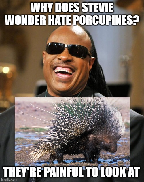 You See That? | WHY DOES STEVIE WONDER HATE PORCUPINES? THEY'RE PAINFUL TO LOOK AT | image tagged in stevie wonder | made w/ Imgflip meme maker