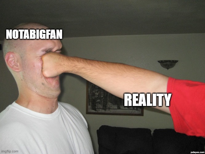 Face punch | NOTABIGFAN REALITY | image tagged in face punch | made w/ Imgflip meme maker