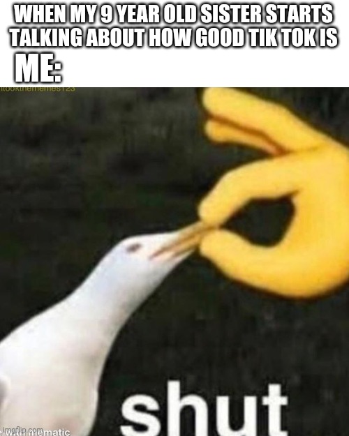 Shut Gull | WHEN MY 9 YEAR OLD SISTER STARTS TALKING ABOUT HOW GOOD TIK TOK IS; ME: | image tagged in shut gull,shut up,tik tok,sister,memes | made w/ Imgflip meme maker
