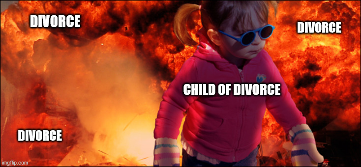 image tagged in divorce | made w/ Imgflip meme maker