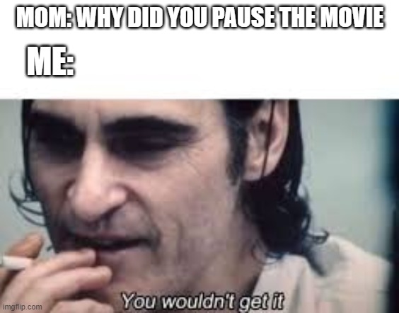 You wouldn't get it (spacing) | ME:; MOM: WHY DID YOU PAUSE THE MOVIE | image tagged in you wouldn't get it spacing | made w/ Imgflip meme maker