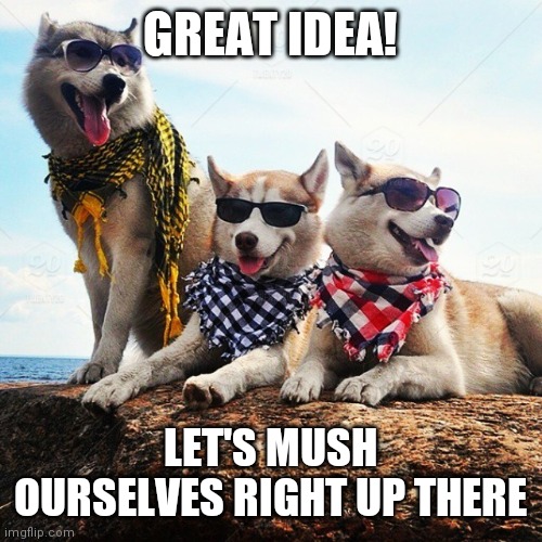 GREAT IDEA! LET'S MUSH OURSELVES RIGHT UP THERE | made w/ Imgflip meme maker