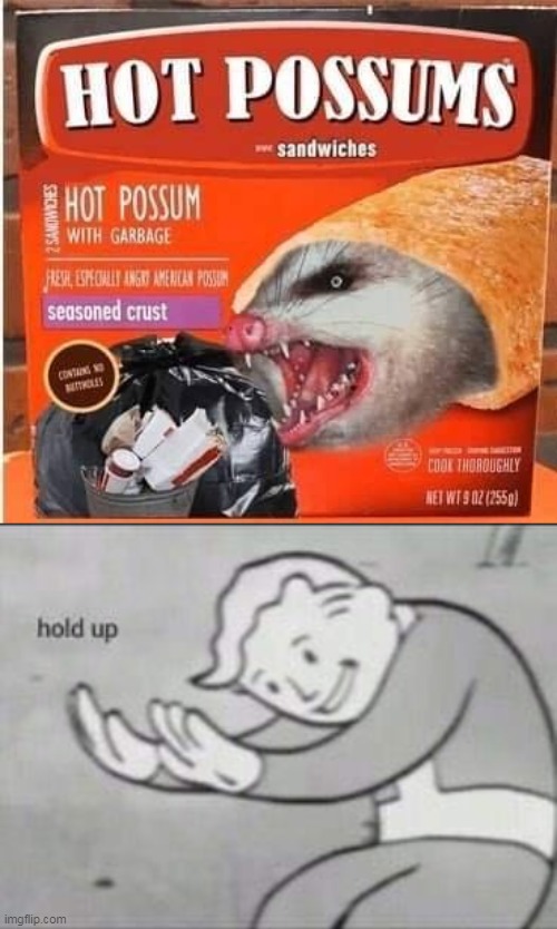 Start Your Day With A Tasty Hot Possum | image tagged in fallout hold up,memes,hot pockets,possum,food,hold up | made w/ Imgflip meme maker