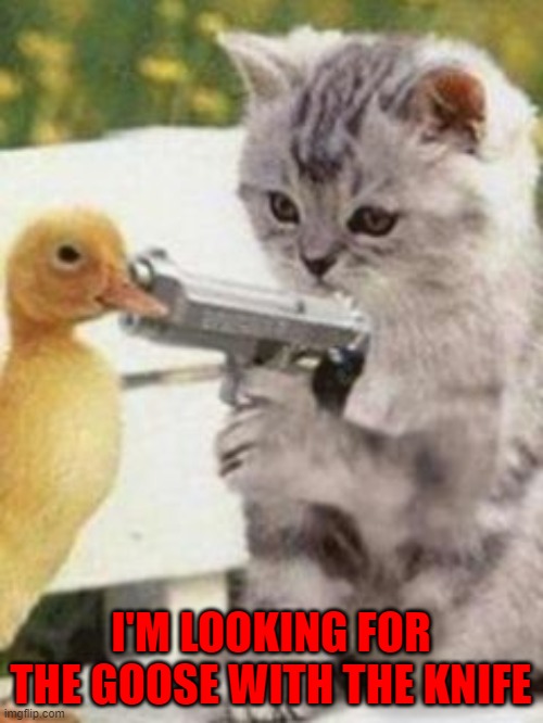 I'M LOOKING FOR THE GOOSE WITH THE KNIFE | made w/ Imgflip meme maker