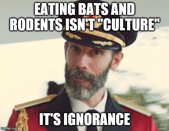 Captain Obvious | EATING BATS AND RODENTS ISN'T "CULTURE"; IT'S IGNORANCE | image tagged in captain obvious | made w/ Imgflip meme maker