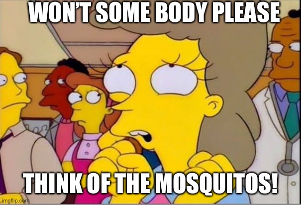 helen lovejoy | WON’T SOME BODY PLEASE; THINK OF THE MOSQUITOS! | image tagged in helen lovejoy | made w/ Imgflip meme maker