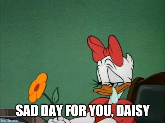 Sad Daisy Duck | SAD DAY FOR YOU, DAISY | image tagged in sad daisy duck | made w/ Imgflip meme maker
