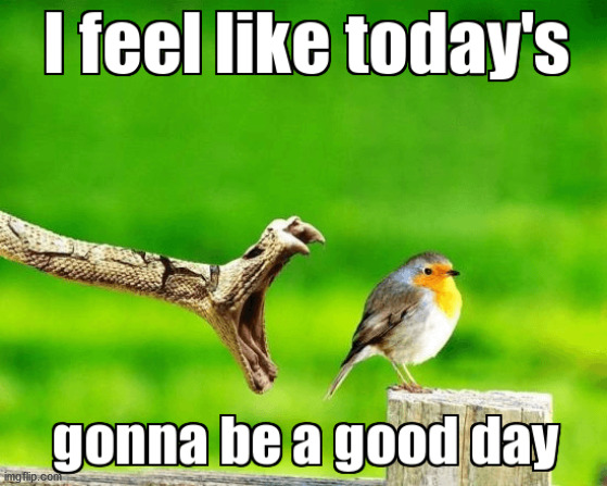 good day | image tagged in good day | made w/ Imgflip meme maker