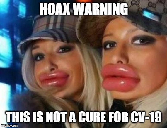 Beware of Hoaxes | HOAX WARNING; THIS IS NOT A CURE FOR CV-19 | image tagged in memes,duck face chicks | made w/ Imgflip meme maker