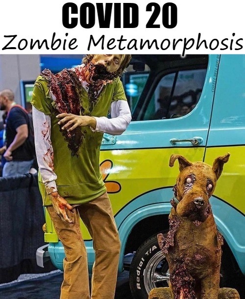 High Quality COVID 20 Zombie Metamorphosis Blank Meme Template