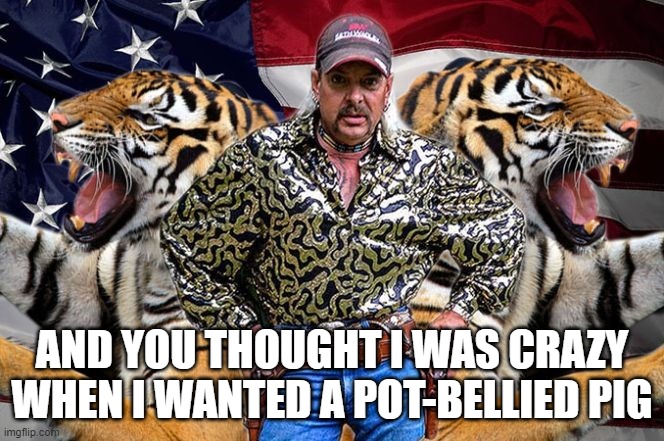 tiger king | AND YOU THOUGHT I WAS CRAZY WHEN I WANTED A POT-BELLIED PIG | image tagged in tiger king | made w/ Imgflip meme maker