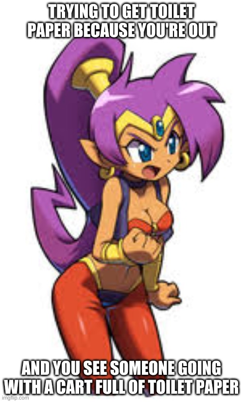 Shantae Mad | TRYING TO GET TOILET PAPER BECAUSE YOU'RE OUT; AND YOU SEE SOMEONE GOING WITH A CART FULL OF TOILET PAPER | image tagged in shantae mad | made w/ Imgflip meme maker