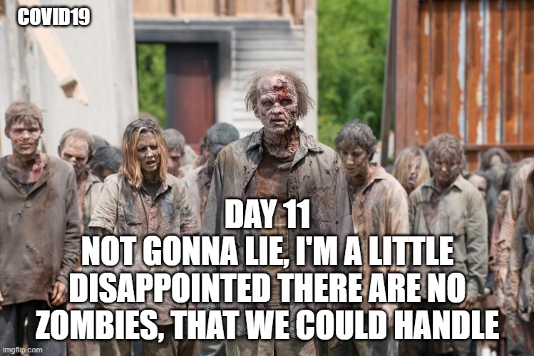 zombies | COVID19; DAY 11
NOT GONNA LIE, I'M A LITTLE DISAPPOINTED THERE ARE NO ZOMBIES, THAT WE COULD HANDLE | image tagged in zombies | made w/ Imgflip meme maker