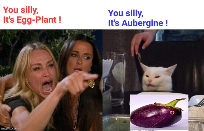Woman Yelling At Cat Meme | You silly, It's Egg-Plant ! You silly, It's Aubergine ! | image tagged in memes,woman yelling at cat | made w/ Imgflip meme maker