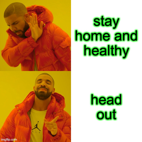 Drake Hotline Bling Meme | stay home and healthy head out | image tagged in memes,drake hotline bling | made w/ Imgflip meme maker