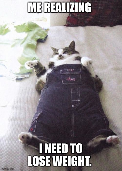 Fat Cat Meme | ME REALIZING; I NEED TO LOSE WEIGHT. | image tagged in memes,fat cat | made w/ Imgflip meme maker