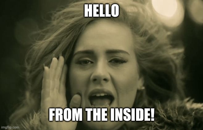 Adele Hello | HELLO; FROM THE INSIDE! | image tagged in adele hello | made w/ Imgflip meme maker