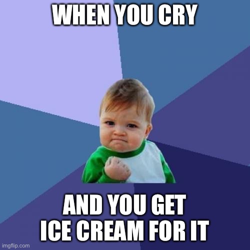 Success Kid | WHEN YOU CRY; AND YOU GET ICE CREAM FOR IT | image tagged in memes,success kid | made w/ Imgflip meme maker