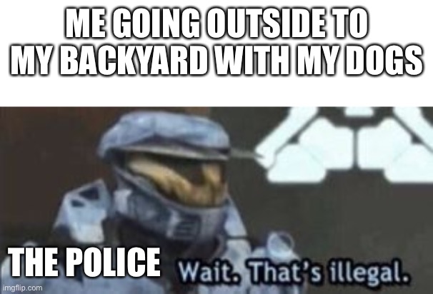 wait. that's illegal | ME GOING OUTSIDE TO MY BACKYARD WITH MY DOGS; THE POLICE | image tagged in wait that's illegal | made w/ Imgflip meme maker